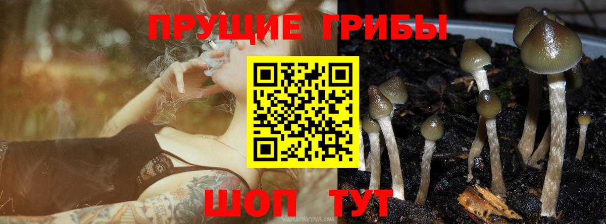 Протвино  Псилоцибиновые грибы Magic Shrooms  Вход с VPN 